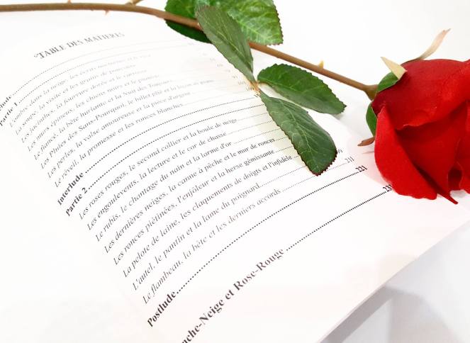 Table des matières du livre Ronces Blanches et Roses Rouges